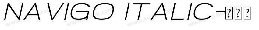 Navigo Italic字体转换